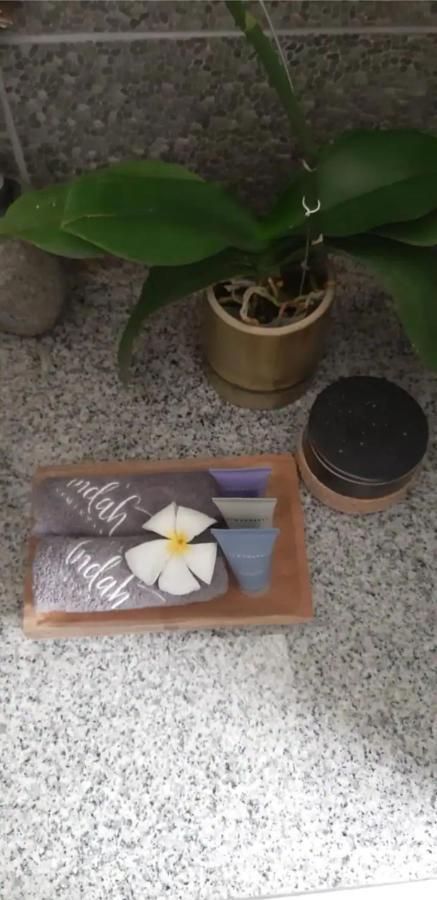 Beautiful Villa Indah 塞米亚克 外观 照片